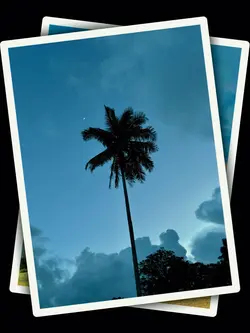 2Pic Aesthetic Trend