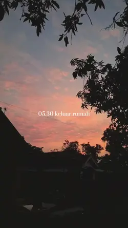my home vlog