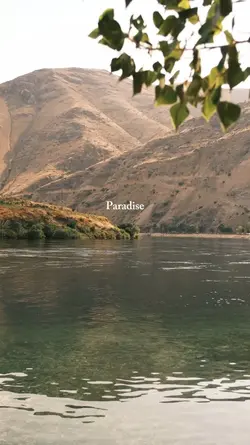 paradise 