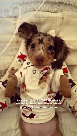 trend dog