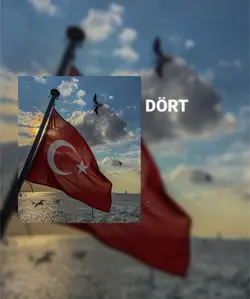Türk bayrağı