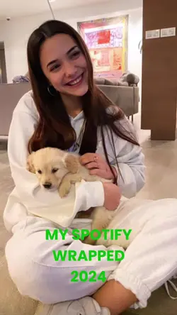 my spotify wrapped