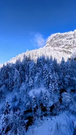 Drone video 