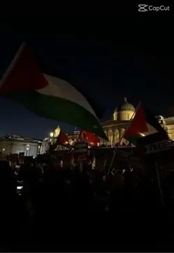 Free Palestine… 🇵🇸 