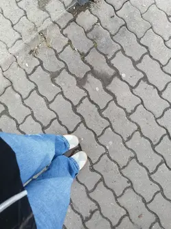 polen