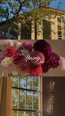 hello spring