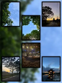 6Pic Trend