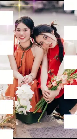 hiệu ứng đẹp 