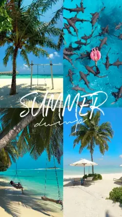 Summer dump