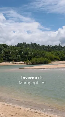 VIAGEM - DAILY