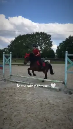 le chemin parcouru 