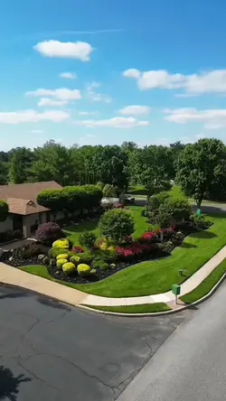 Gardening