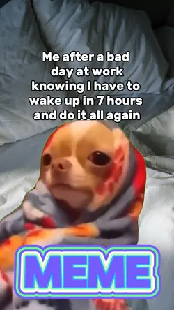 Sad Dog Meme