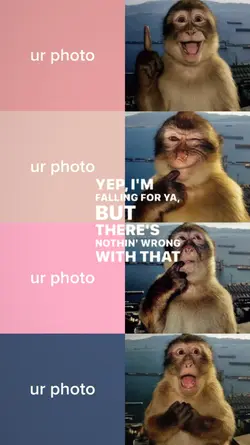 monkey pose trend