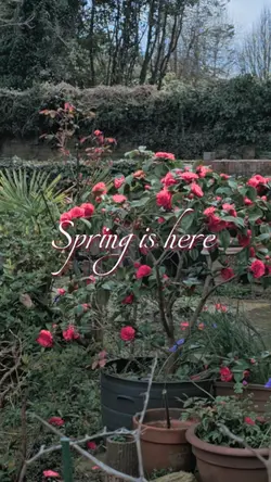 Spring is here