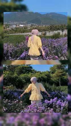 frame aesthetic 