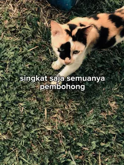 Pembohong 