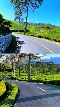 split screen road hd