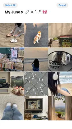 june dump 