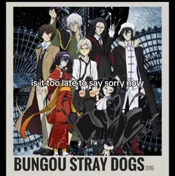 sorry now