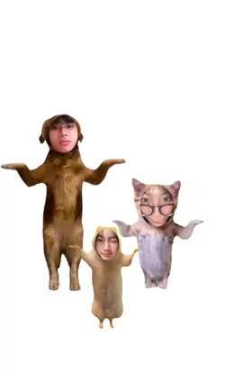 animal dancing trio