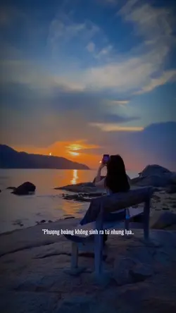 Phượng hoàng ko sinh