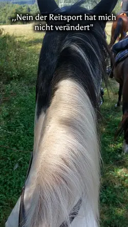 reitsport
