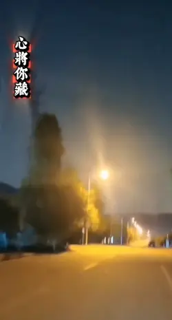 心將你藏 翁立友