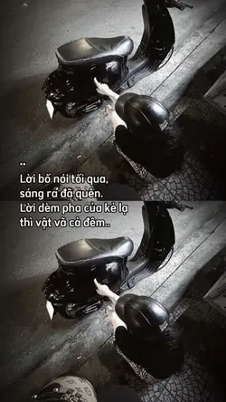 cap + màu 