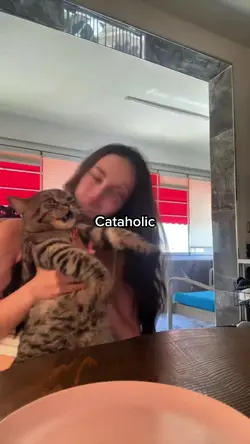 Cataholic 