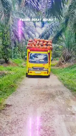 kerja klen apa