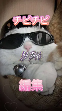 写真3枚📸