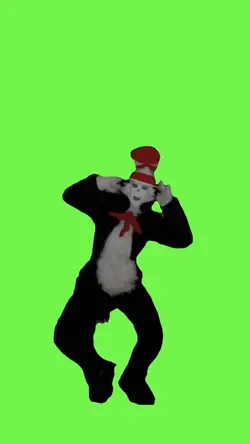 cat in hat