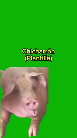 Chicharrón