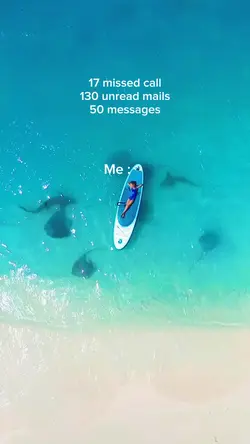 17 missed call