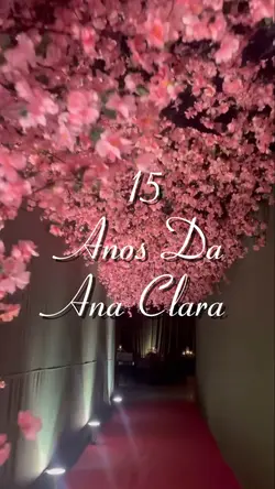 15 anos 