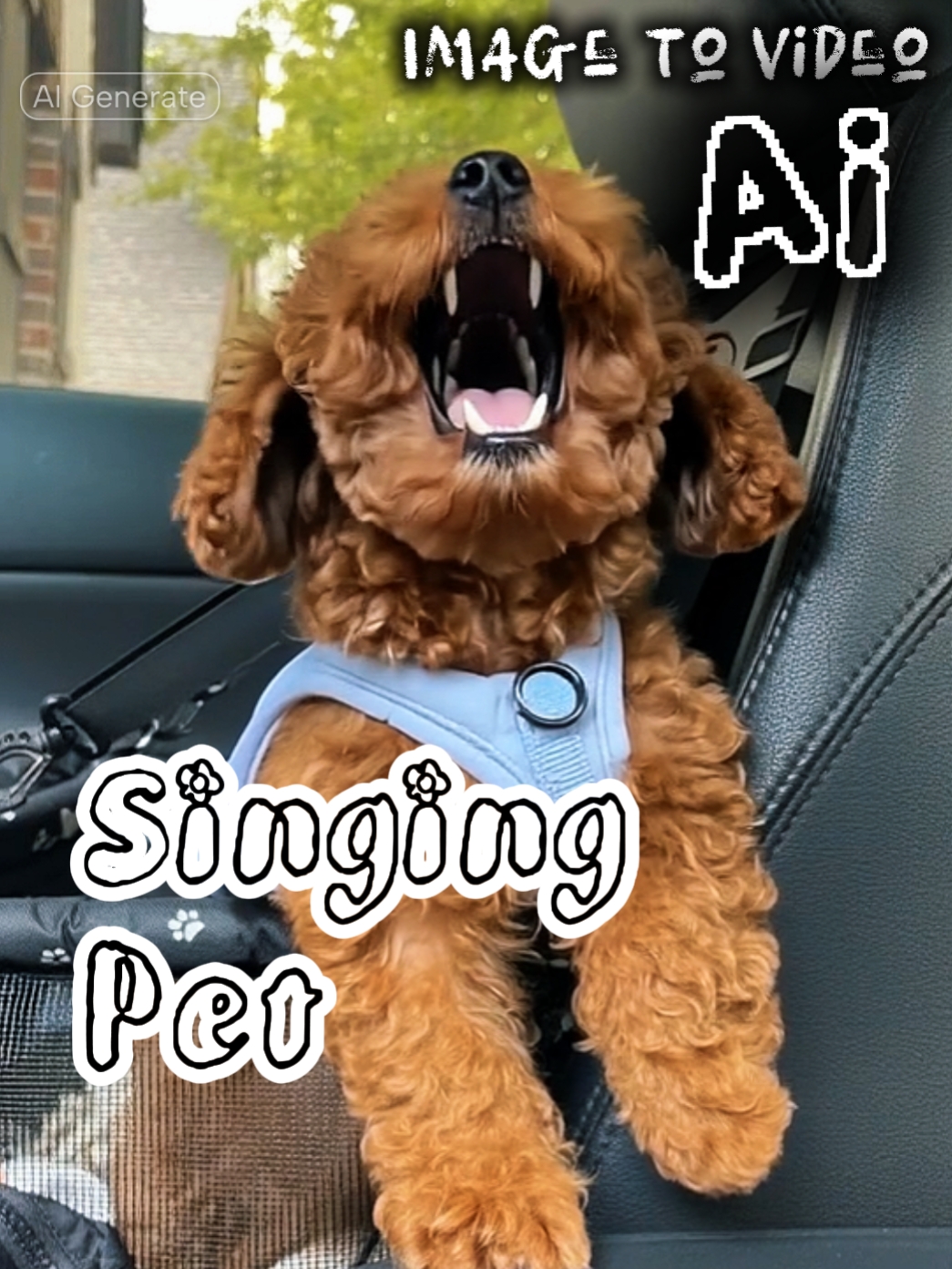 Funny memes and quotes 😂😂 Follow for more!, image size:1045x1393