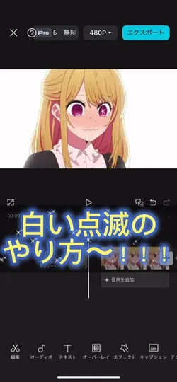 解説動画