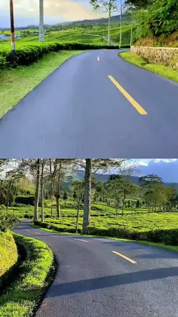 2 video 1 frame