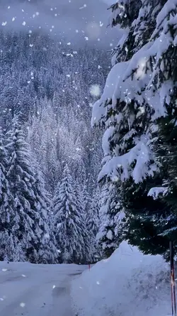 WONDERFUL WINTER 