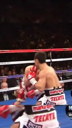 Donaire vs Montiel 