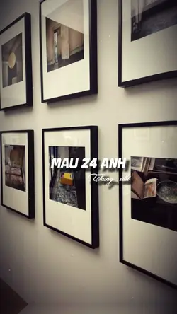 Mẫu 24 ảnh