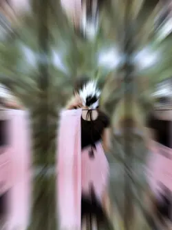 najmul edit