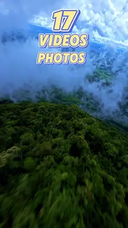 17 clip or photo 