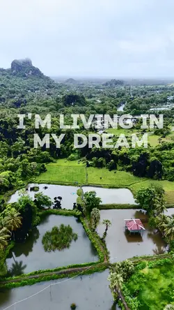 Living in My Dream