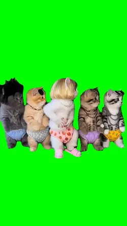 KITTEN SQUAD DANCE
