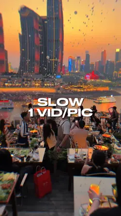 1 VID/PIC