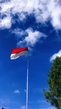 slowmo 