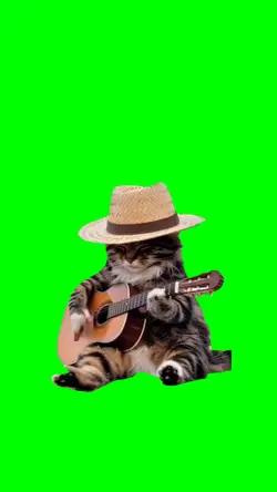 sad cat play guitar