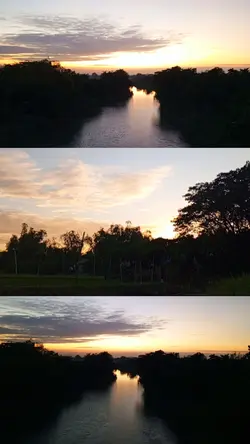 natureee